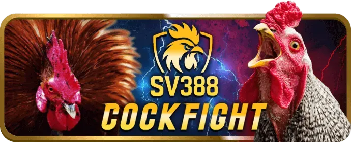 Đội ngũ hỗ trợ khách hàng 24/7 của f186 vip đảm bảo an toàn